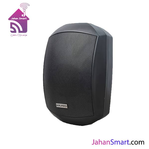 اسپیکر دیواری DP-4100