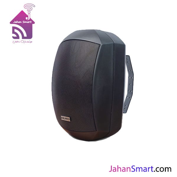 اسپیکر دیواری DP-5110